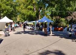 7ème Jardin de l'Art et de la Création - Jardin des Plantes - Toulouse