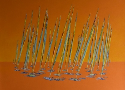 Régate des iles 81x65   -  2023