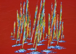 Régate flamboyante  20x20